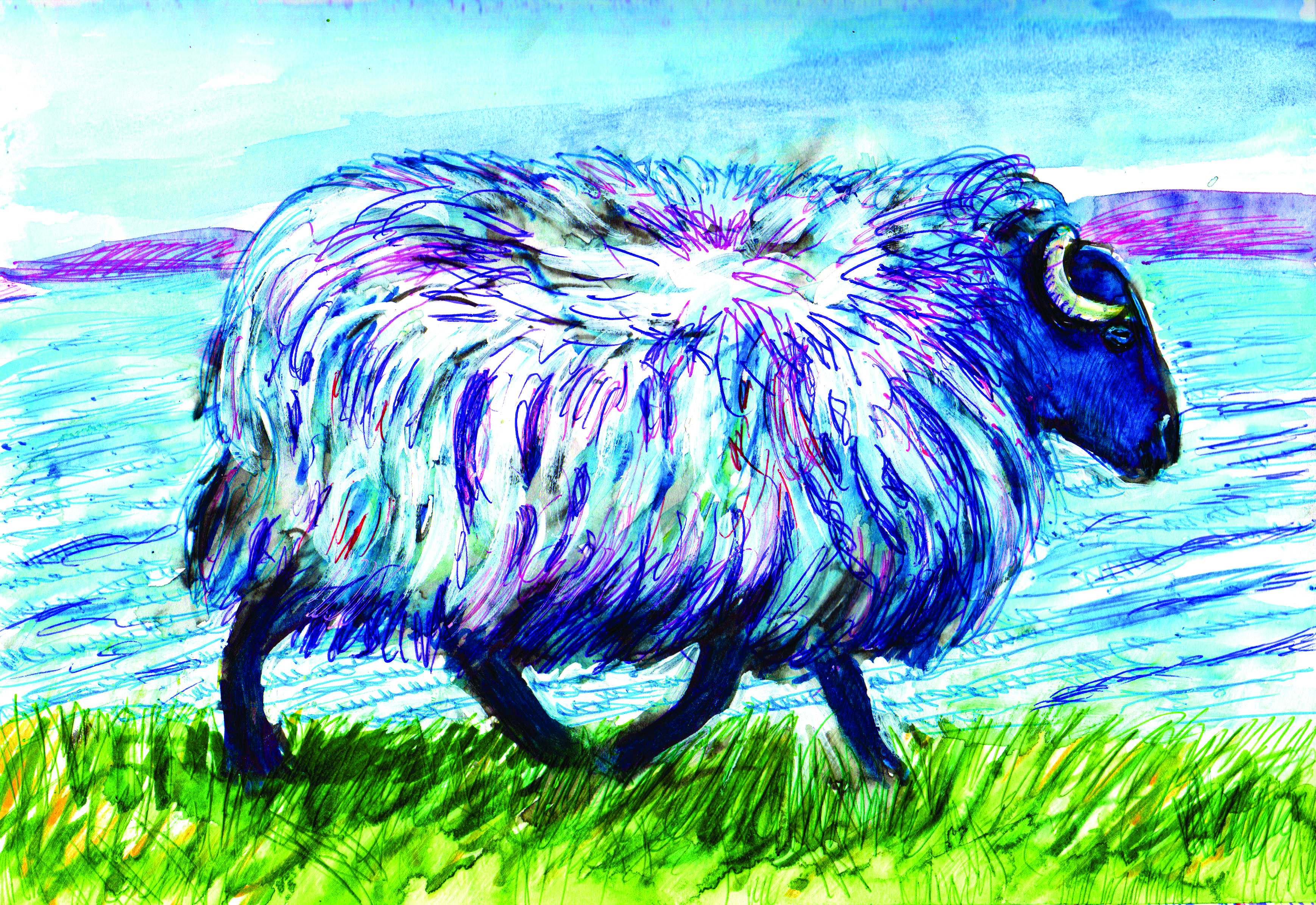 The Wanderer (The Stained Sheep)