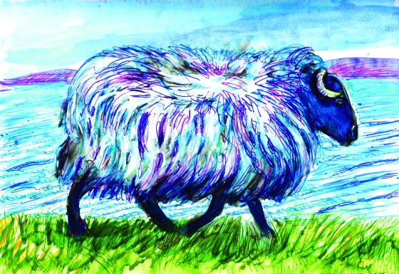 The Wanderer (The Stained Sheep)