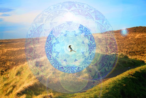 The Magpie on the Mound (Digital Image by Sean O'Dwyer